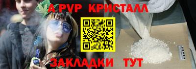 СК Бийск