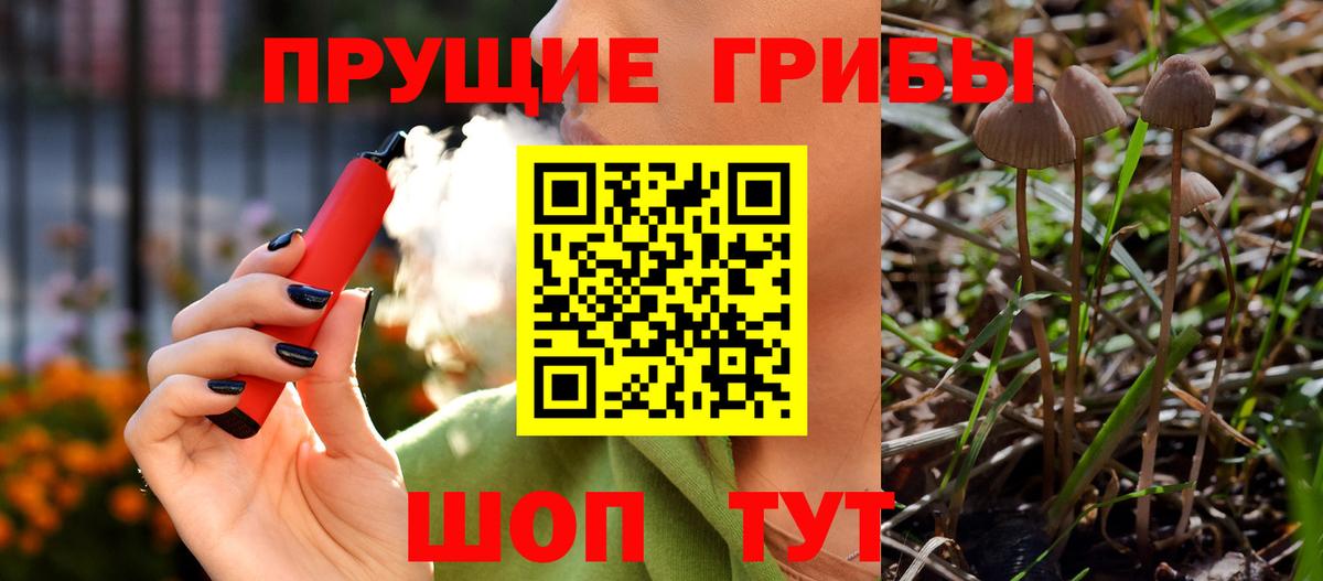 Галлюциногенные грибы Psilocybe  Вход с VPN  Качканар 